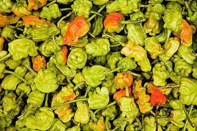 手游《蔚蓝档案》国服首爆PV 游戏预约正式开启